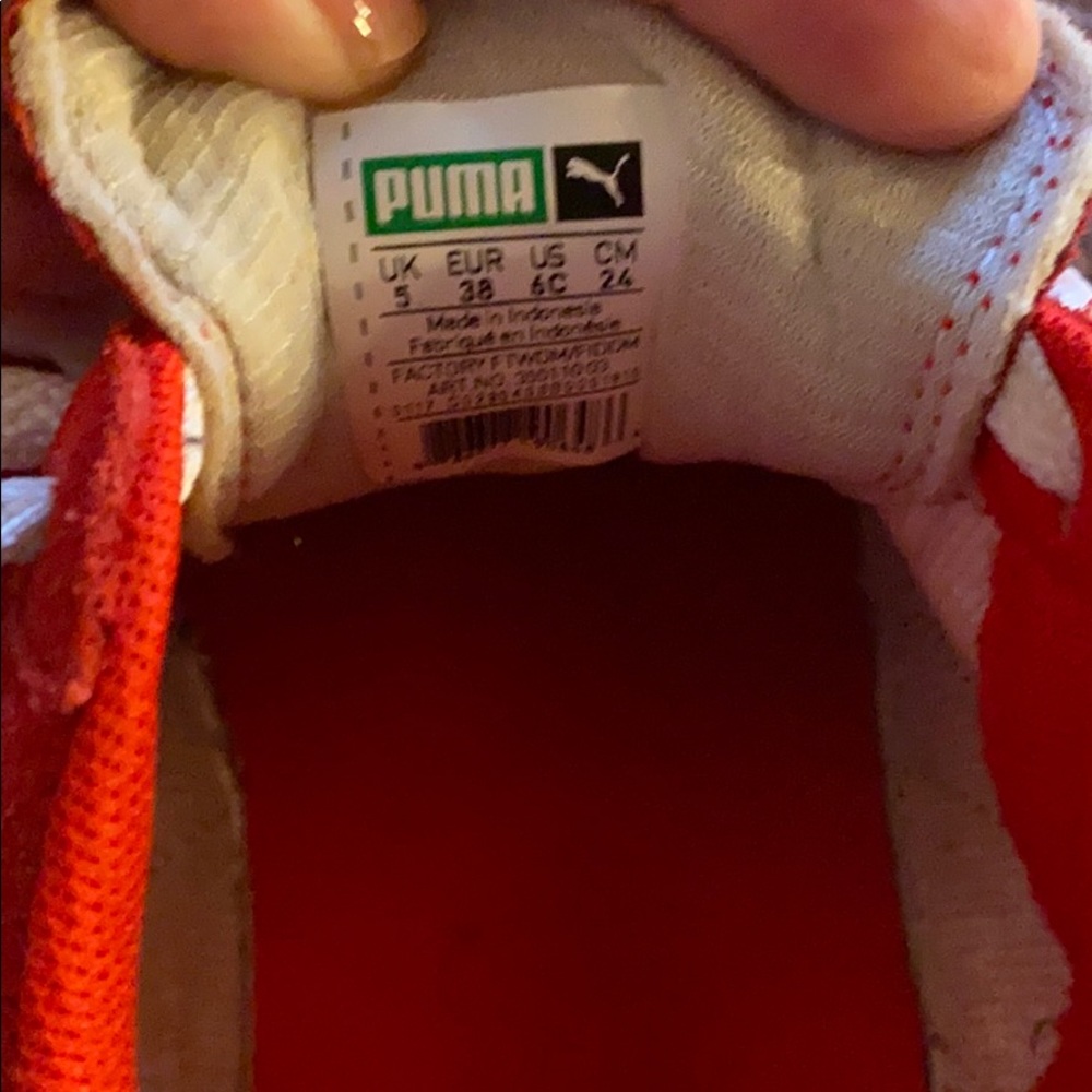 Red pumas - Picture 3 of 7